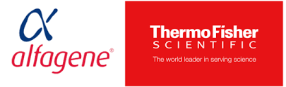 Alfagene & ThermoFisher